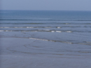 海水浴場