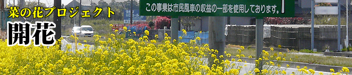 開花